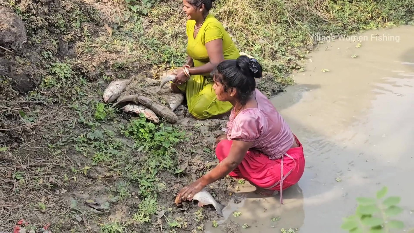 Incredible Village Women Fishing video    Village