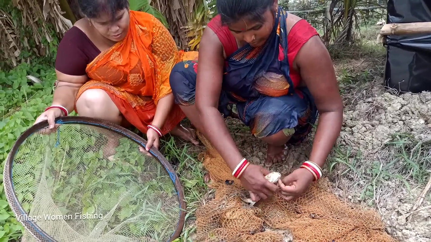 Incredible village women net fishing   Best women