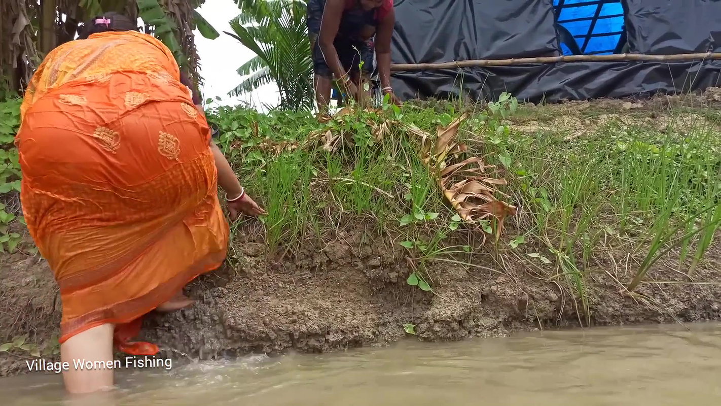 Incredible village women net fishing   Best women
