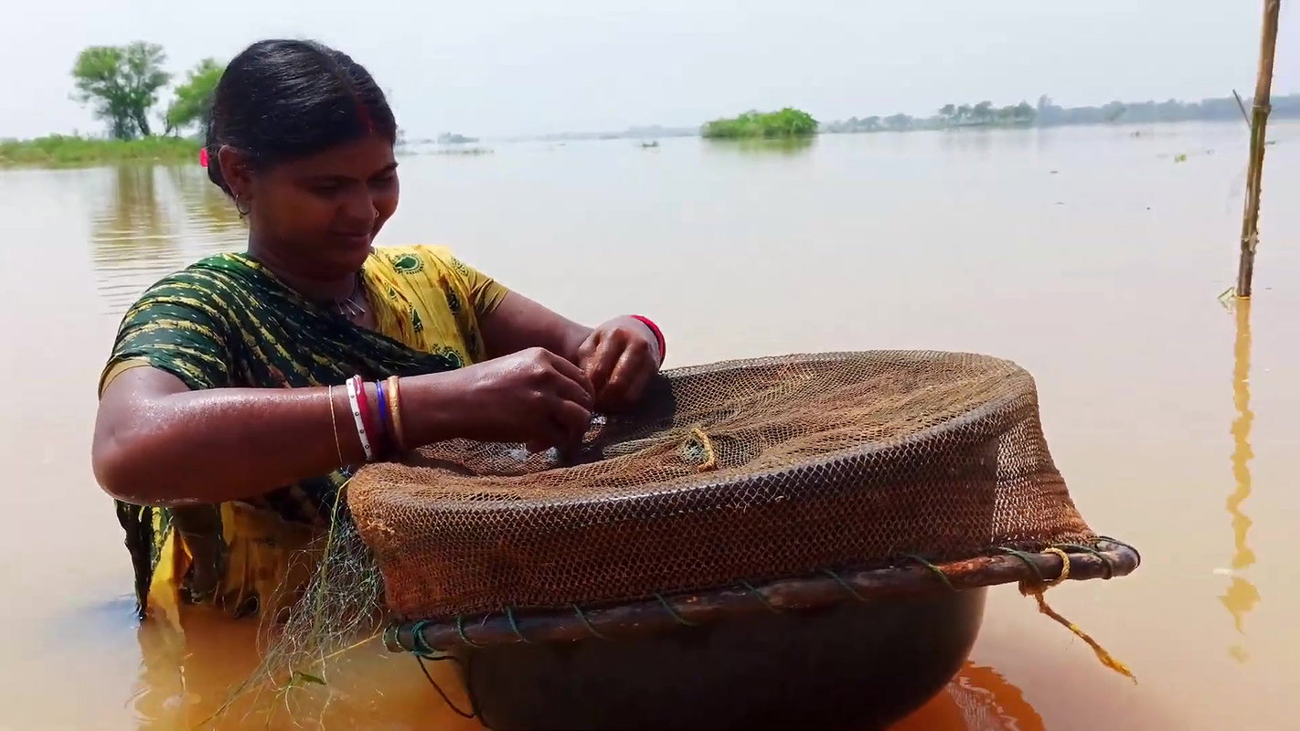 Indian Woman Goes Fishing in Flood