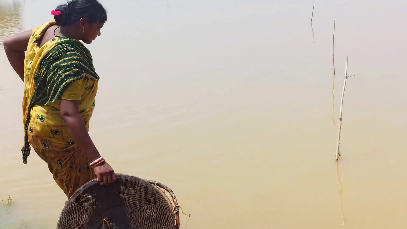 Indian Woman Goes Fishing in Flood