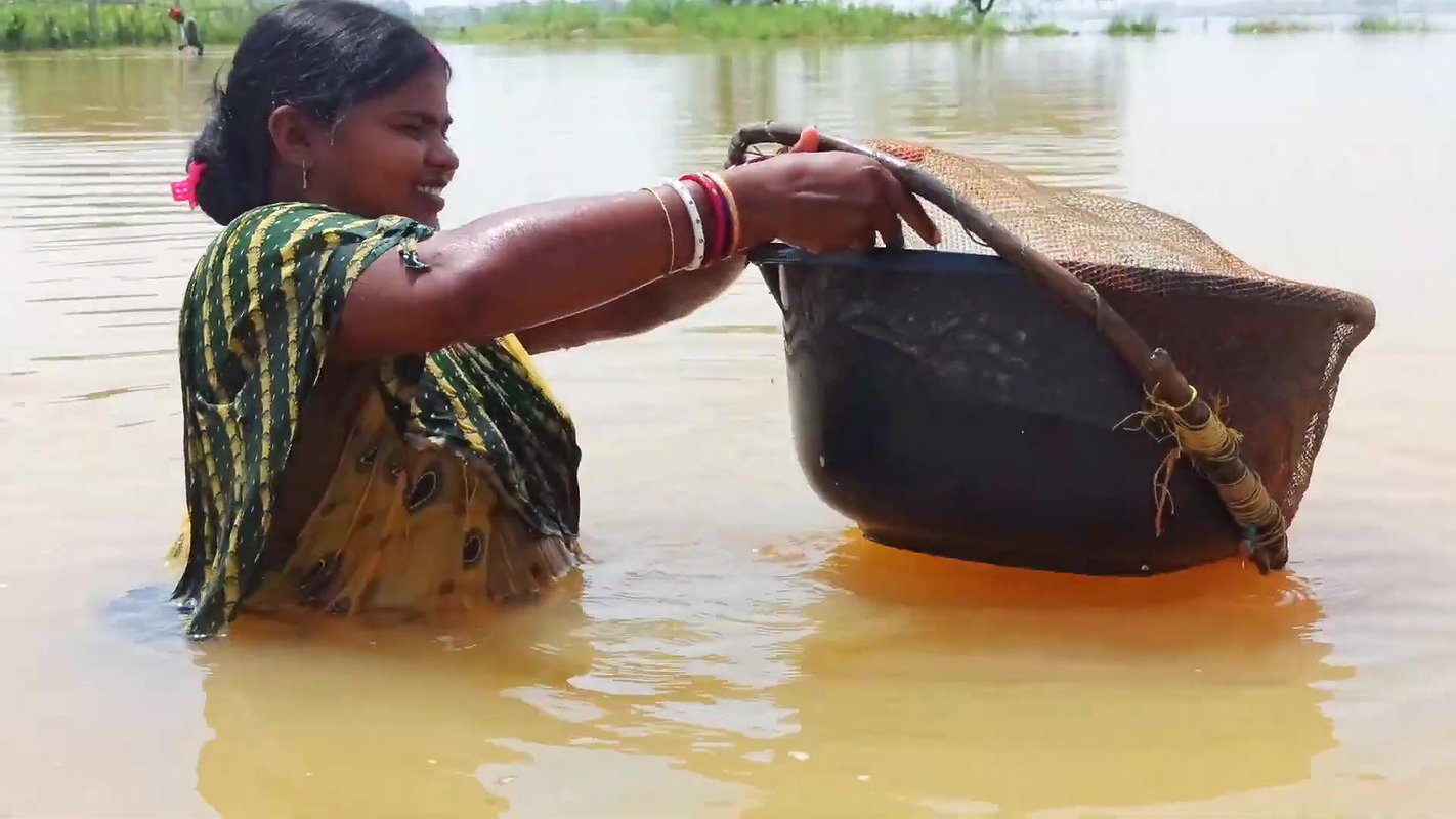 Indian Woman Goes Fishing in Flood