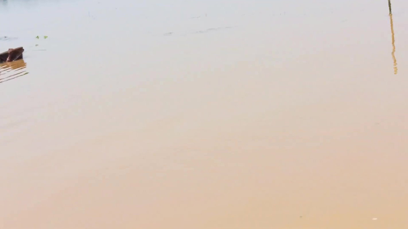 Indian Woman Goes Fishing in Flood