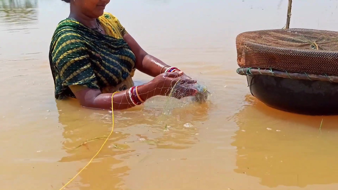 Indian Woman Goes Fishing in Flood