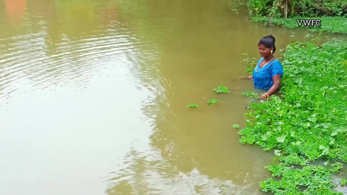 Look what I’ve Caught   Village Lady Fishing   মাছ