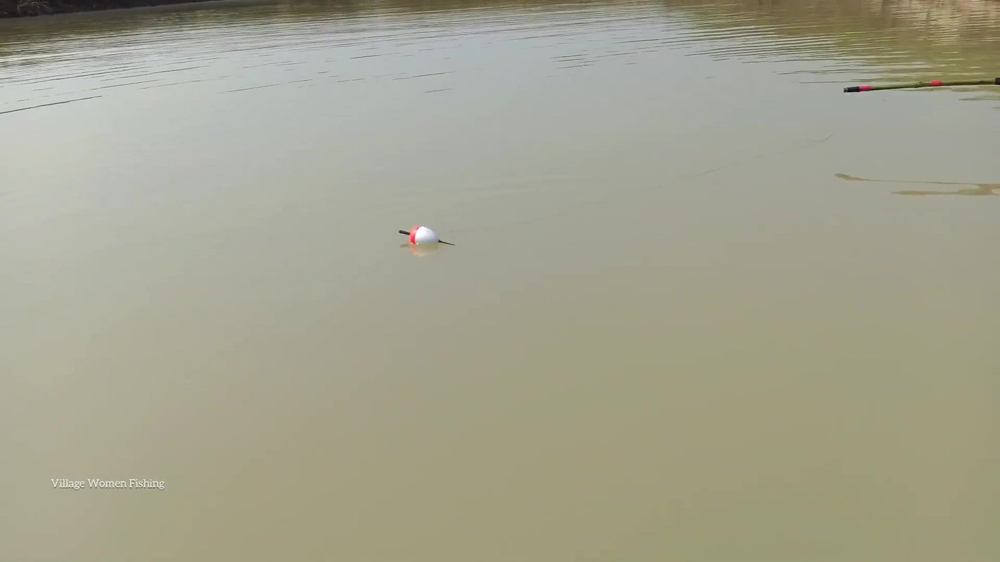 Mama Helping Her Little  Son to catch His first Fi