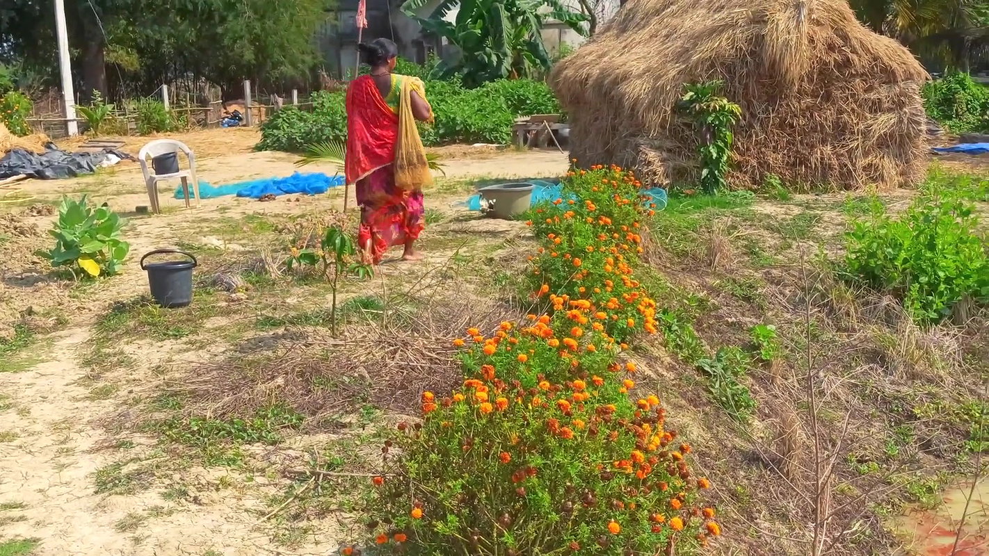 Most Satisfying Cast Net Fishing Video -Traditiona