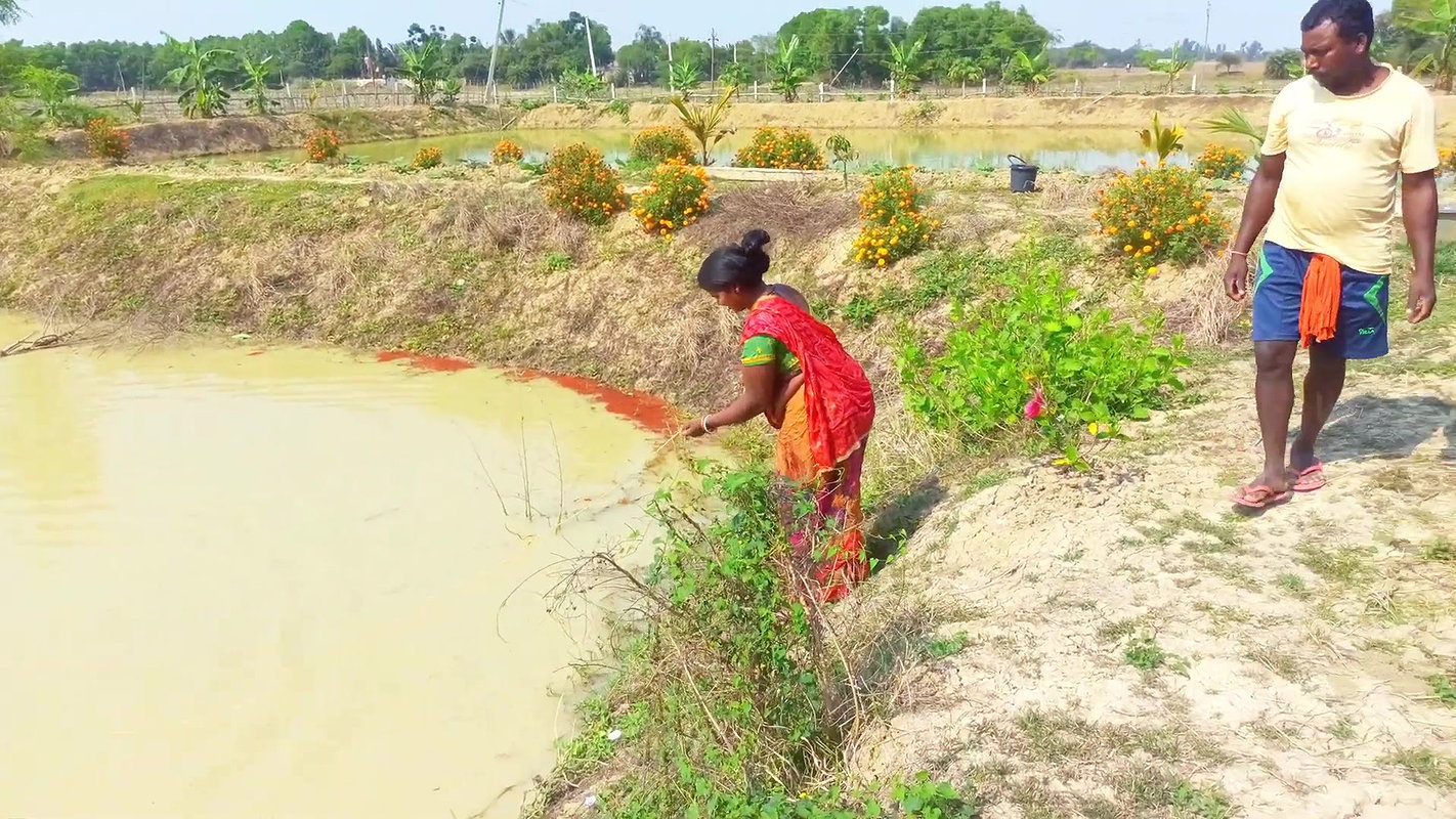 Most Satisfying Cast Net Fishing Video -Traditiona