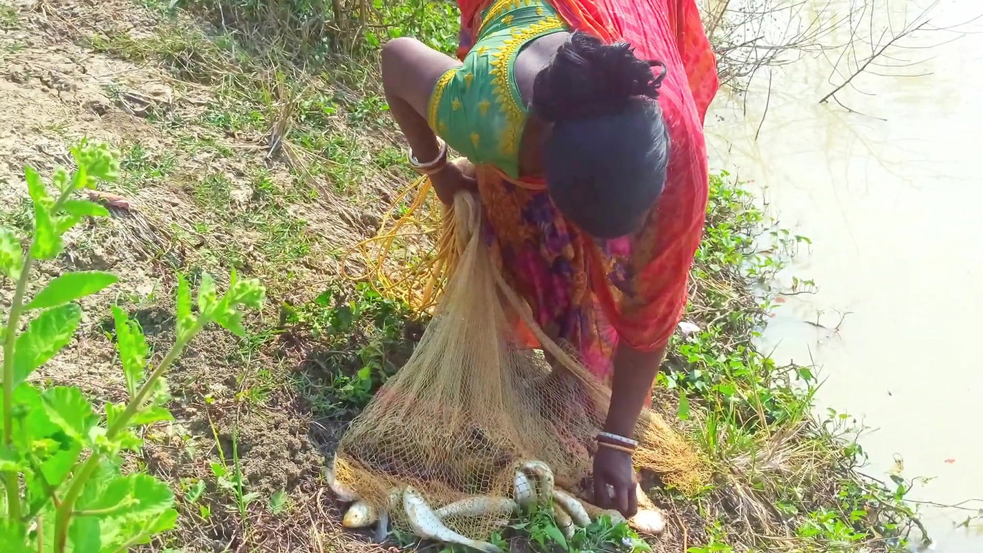 Most Satisfying Cast Net Fishing Video -Traditiona