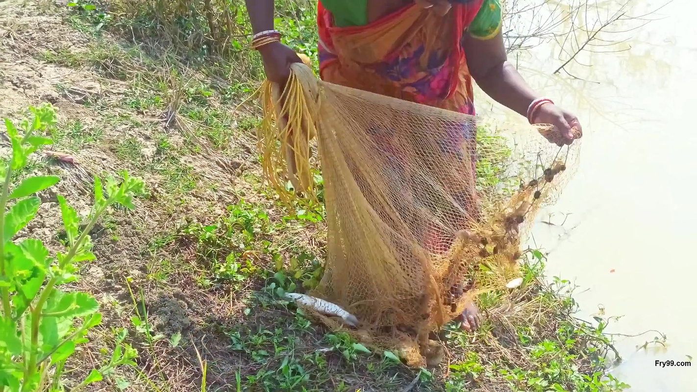 Most Satisfying Cast Net Fishing Video -Traditiona