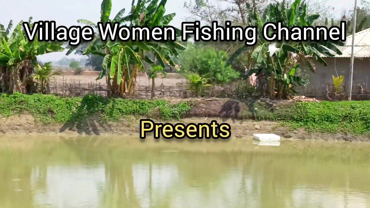x Mouni Net Fishing   Katla Fish   Village women fis