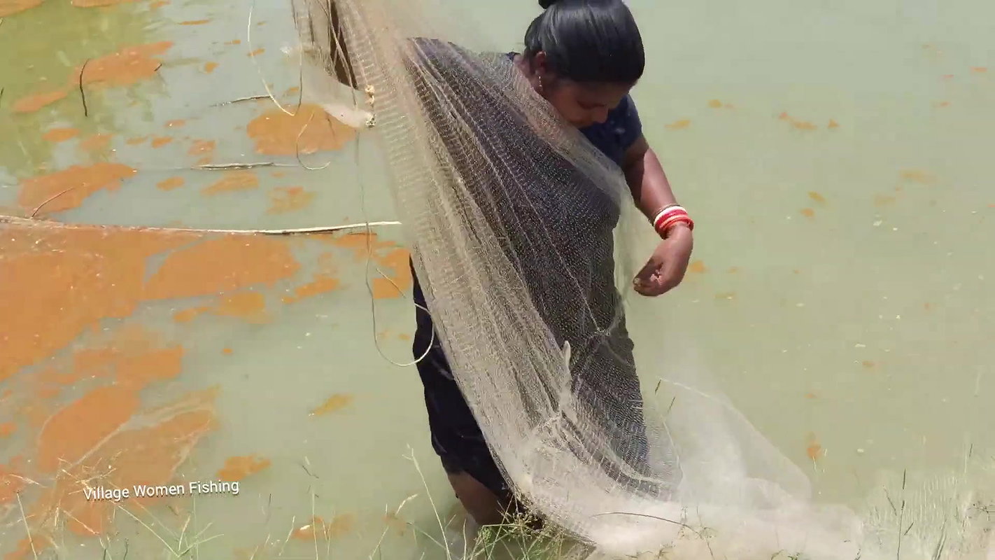 Net Fishing by Village women in village pond   Mou