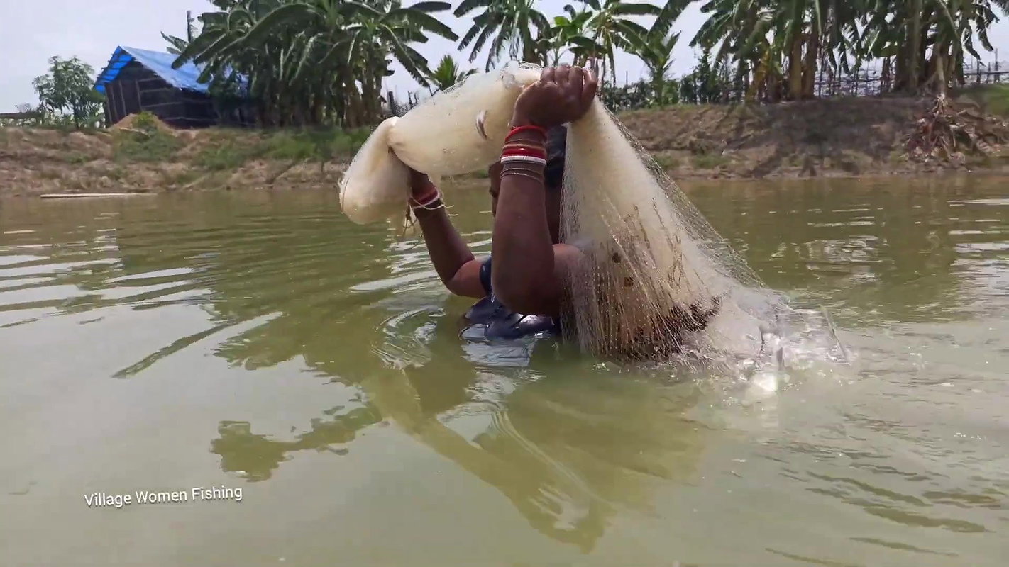 Net Fishing by Village women in village pond   Mou