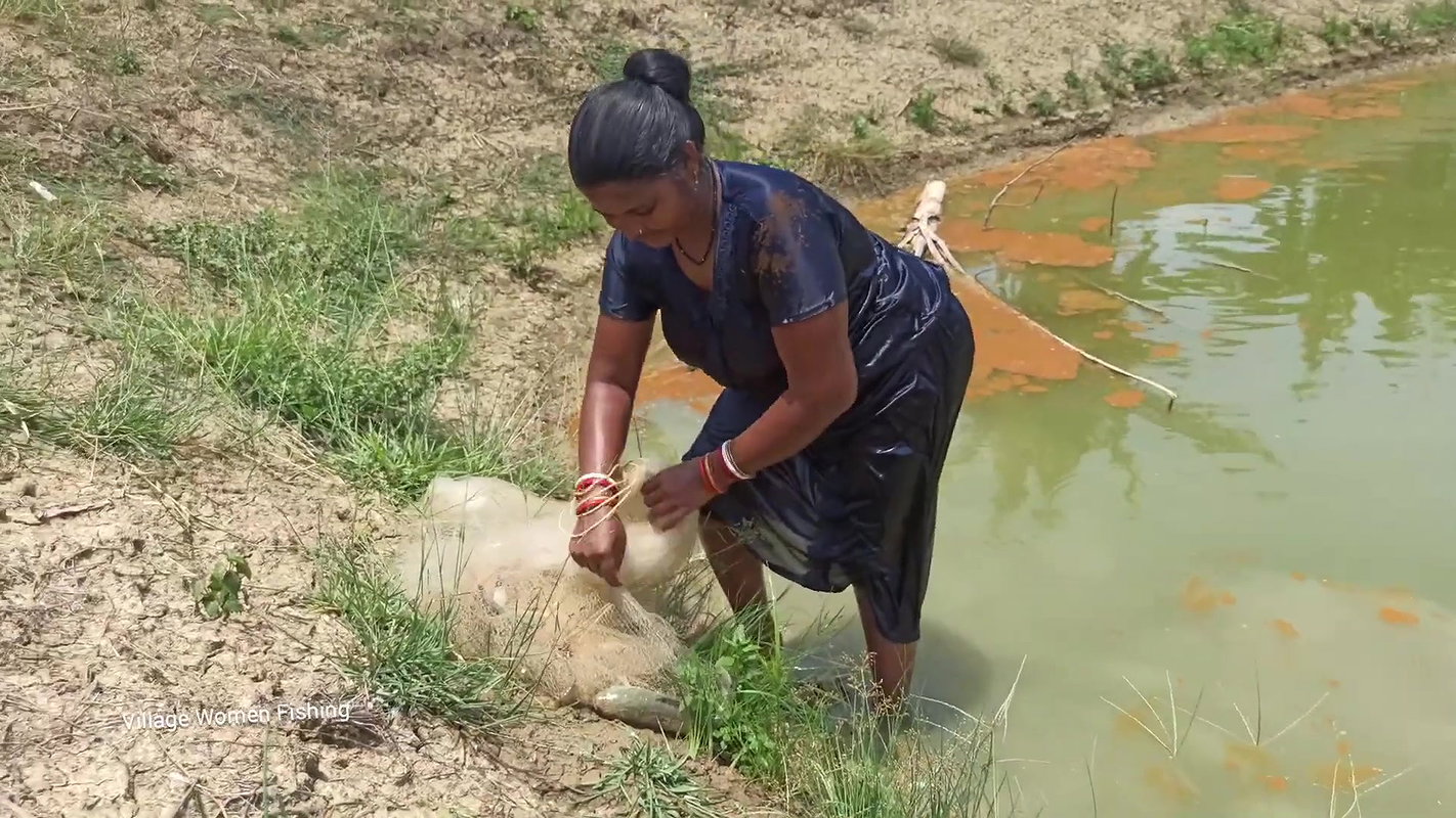 Net Fishing by Village women in village pond   Mou
