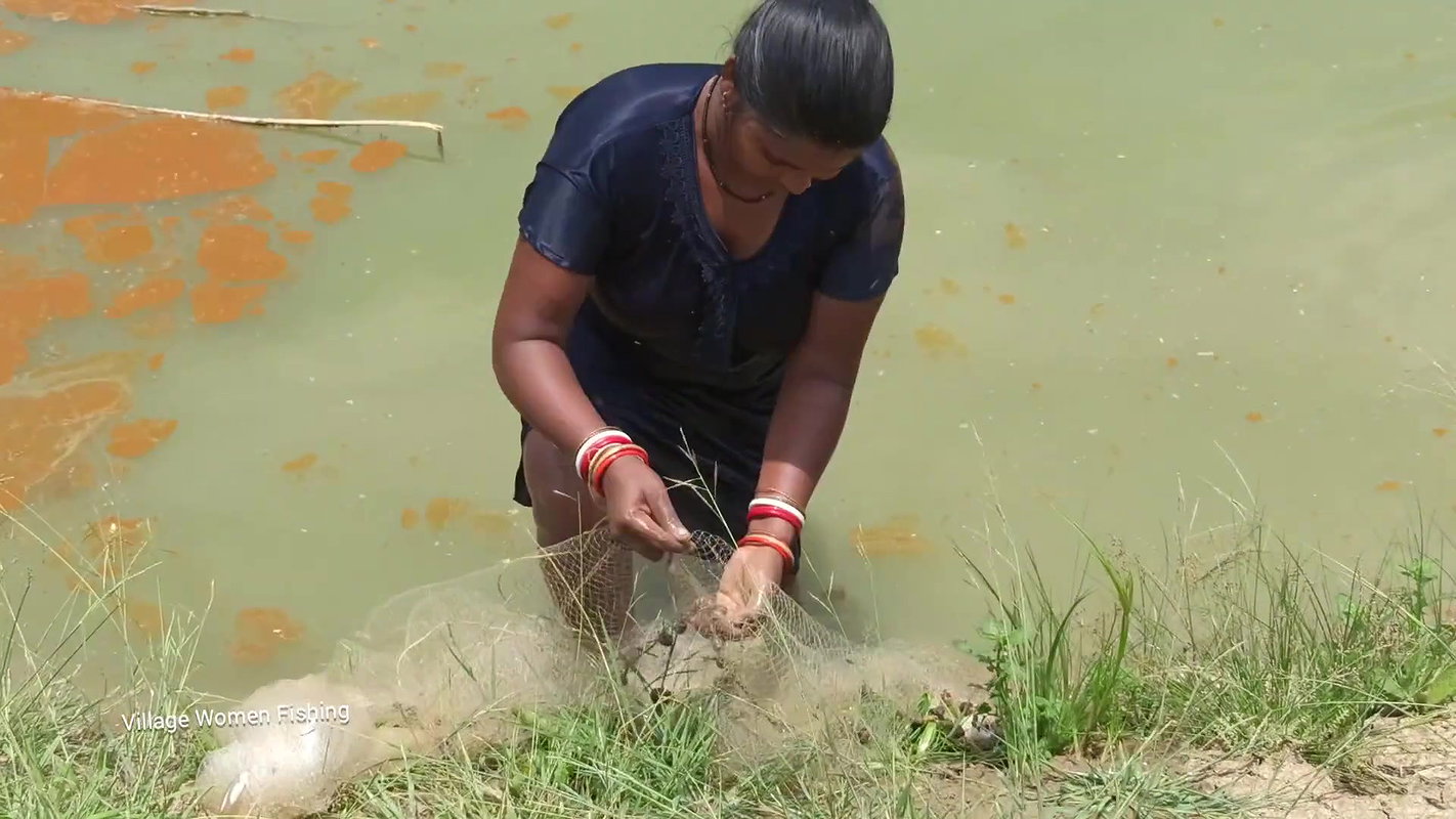 Net Fishing by Village women in village pond   Mou