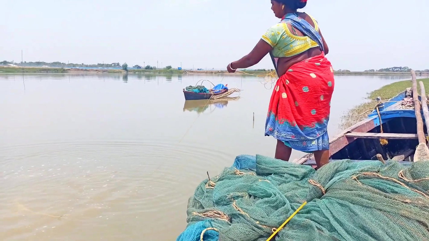 Net Fishing in Sea    Village Women Fishing Channe