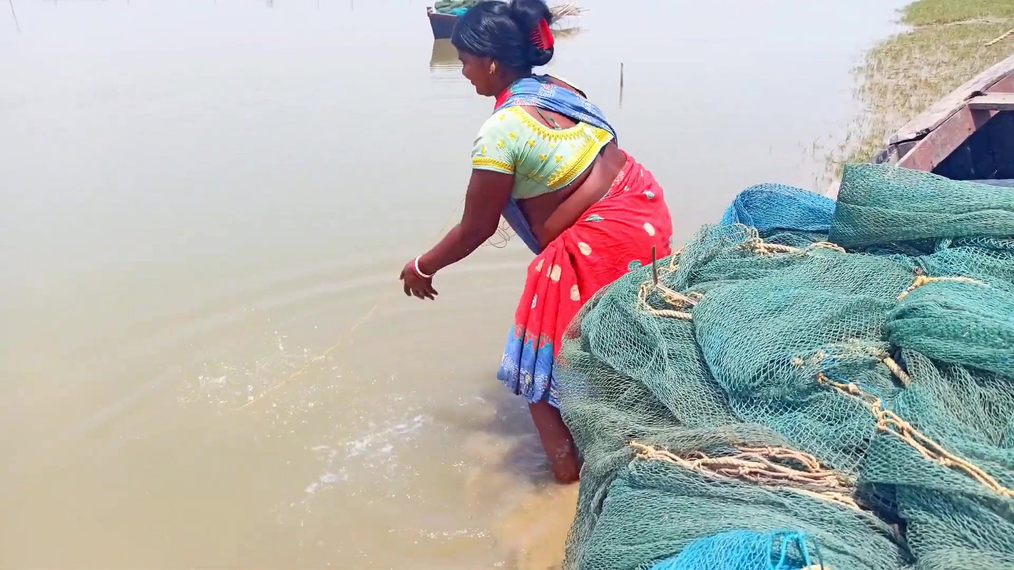 Net Fishing in Sea    Village Women Fishing Channe
