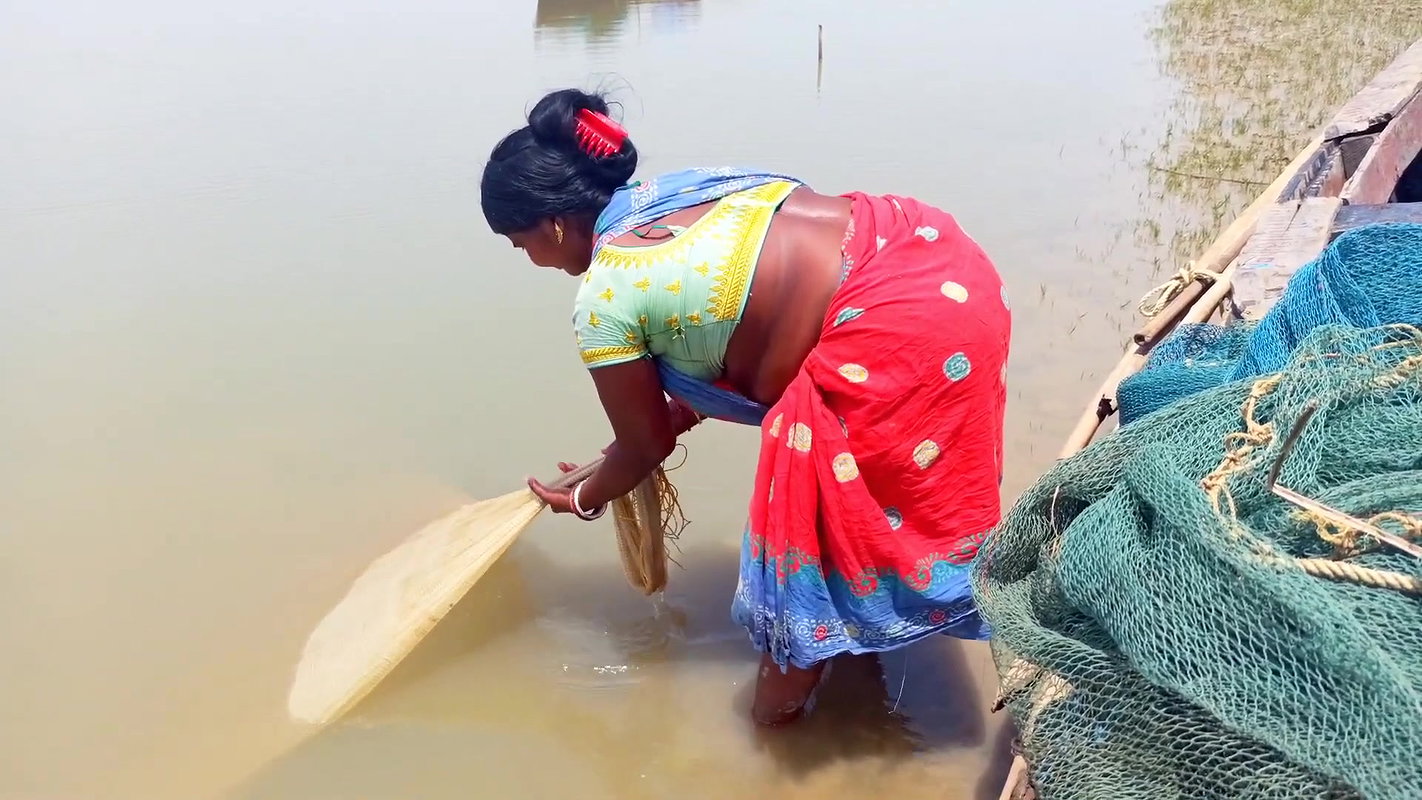 Net Fishing in Sea    Village Women Fishing Channe