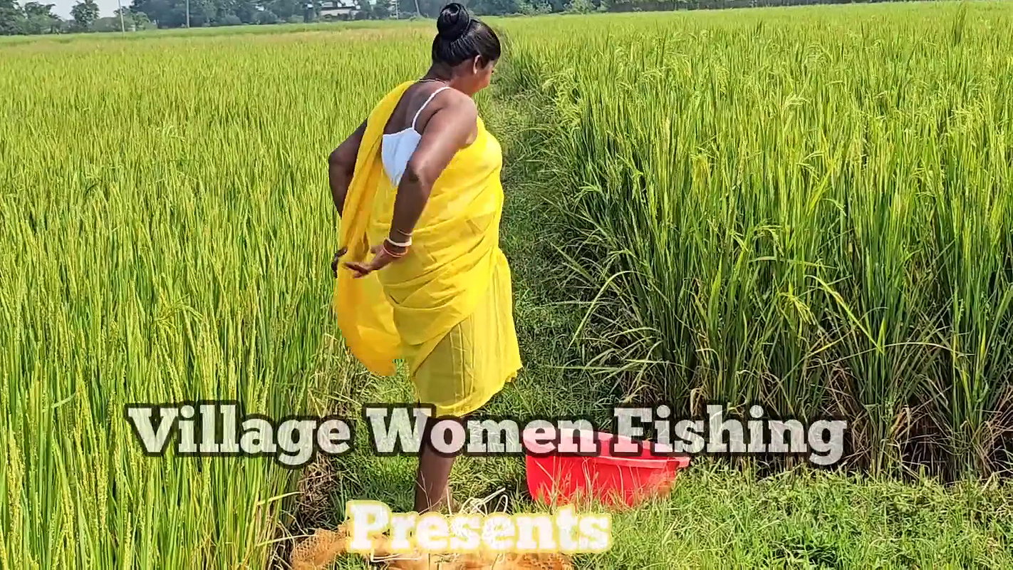 New Amazing Village Women Cast Net Fishing    Vill