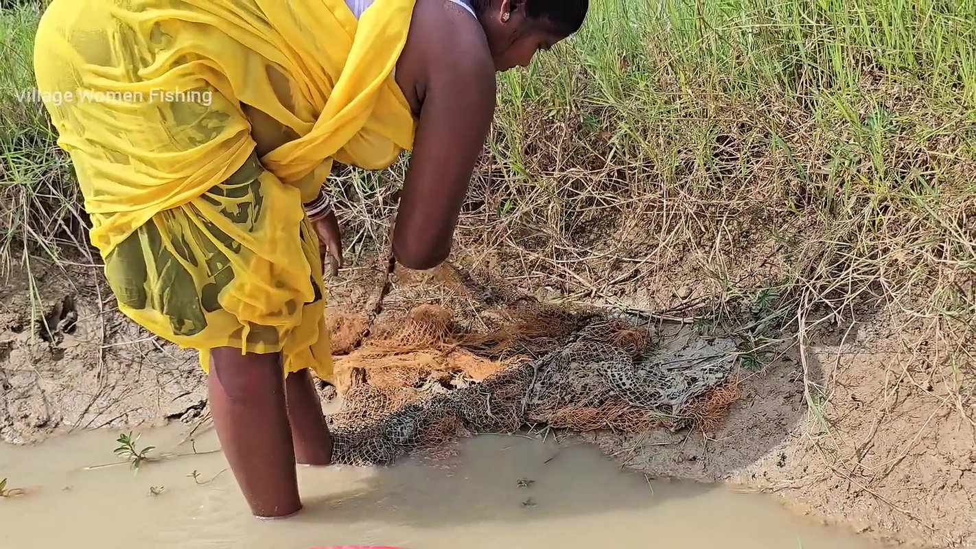 New Amazing Village Women Cast Net Fishing    Vill