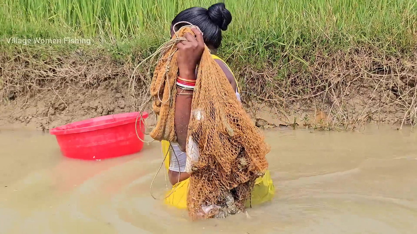 New Amazing Village Women Cast Net Fishing    Vill