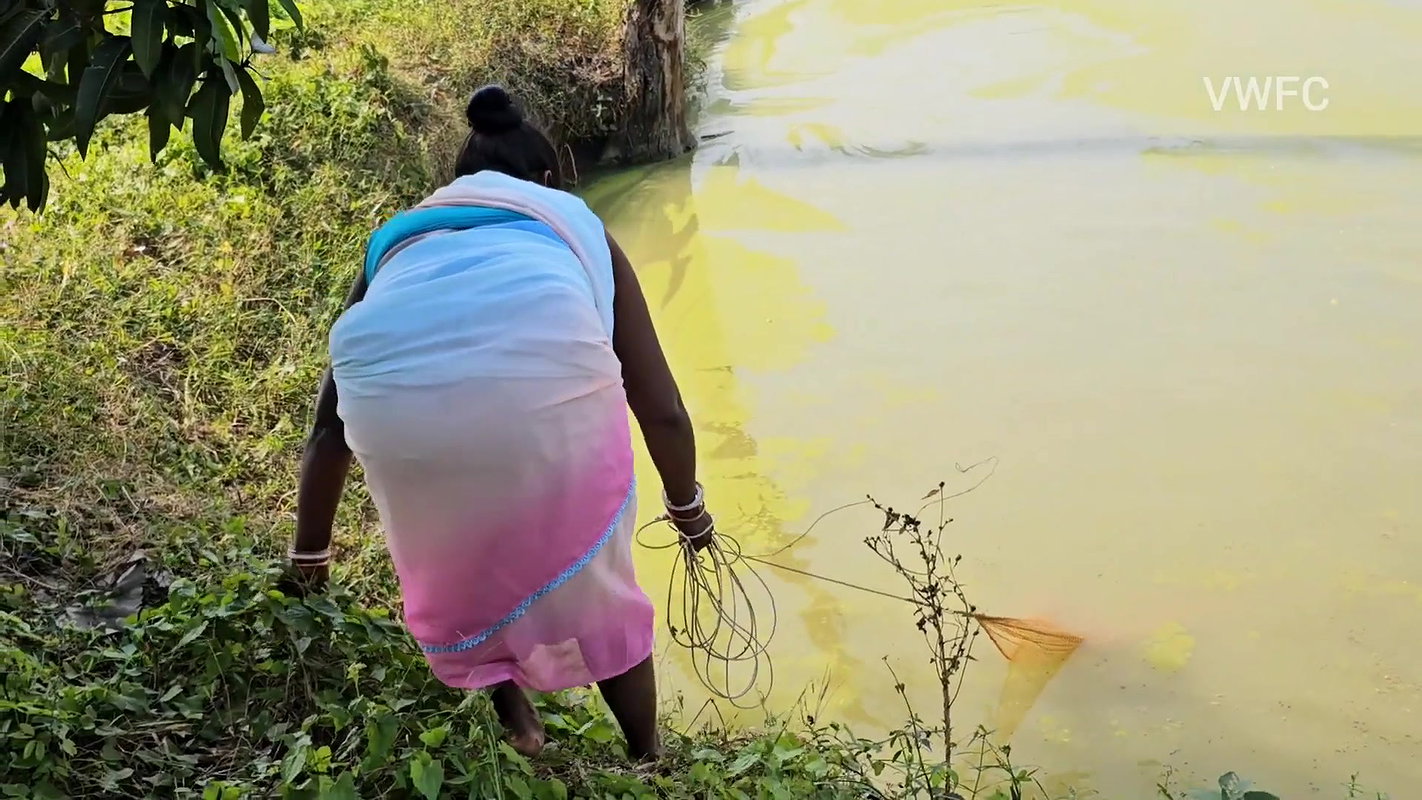 xNew Amazing Village Women Net Fishing in Village p