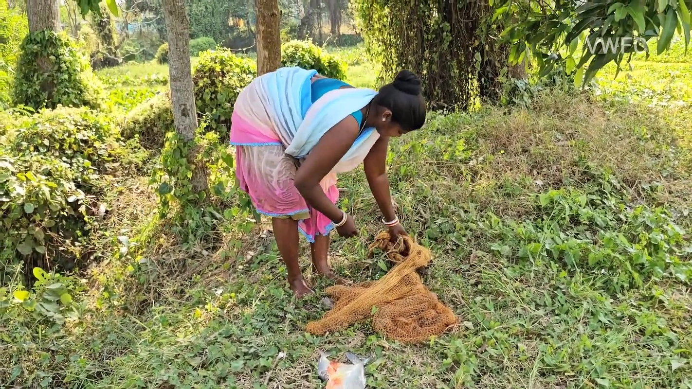 xNew Amazing Village Women Net Fishing in Village p