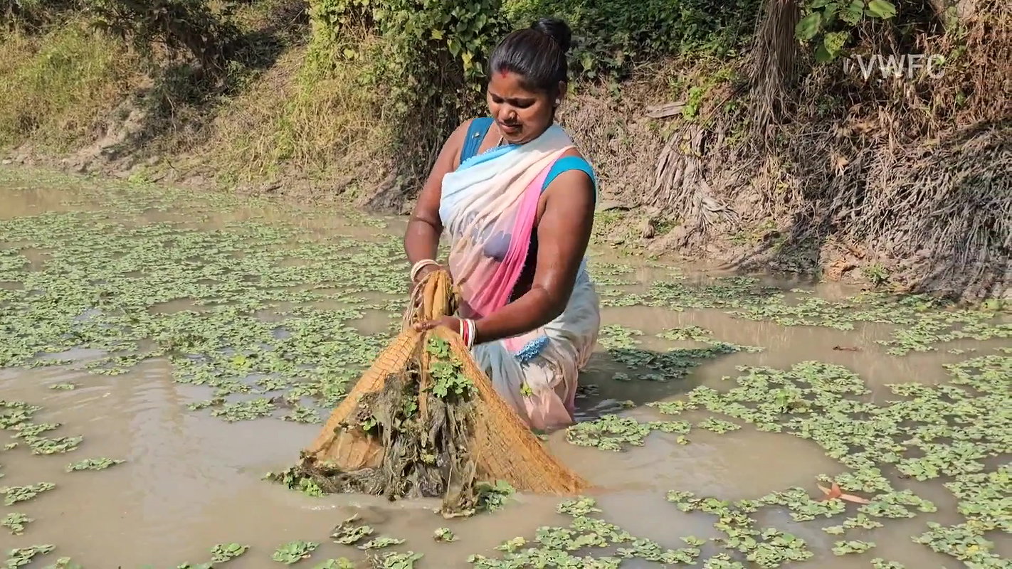 xNew Amazing Village Women Net Fishing in Village p