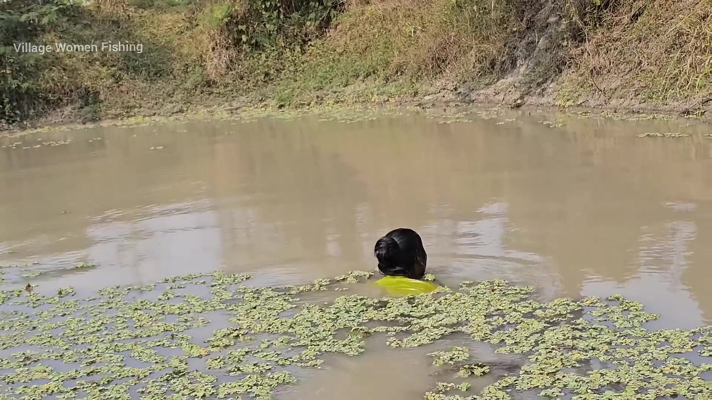 New Amazing Village Women Net Fishing video    Mou