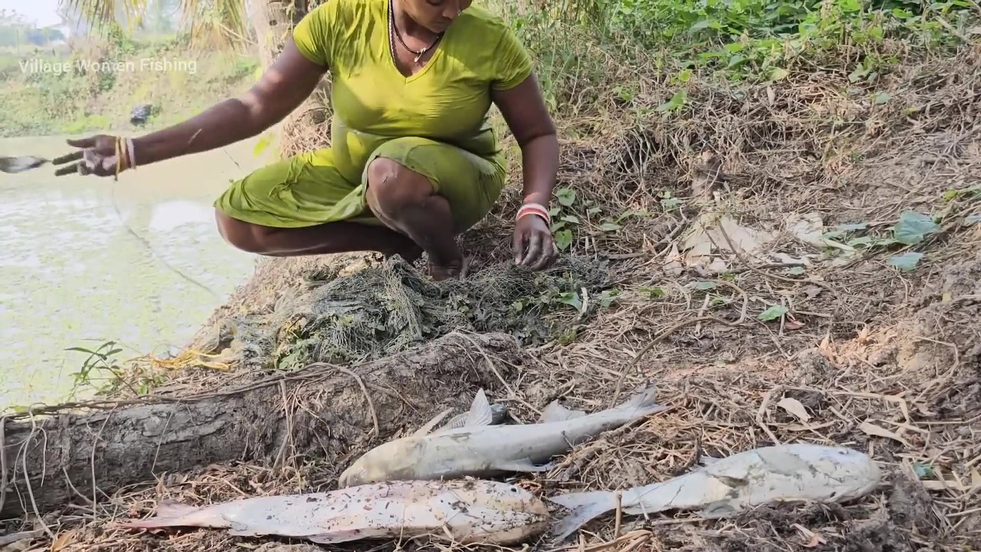 New Amazing Village Women Net Fishing video    Mou