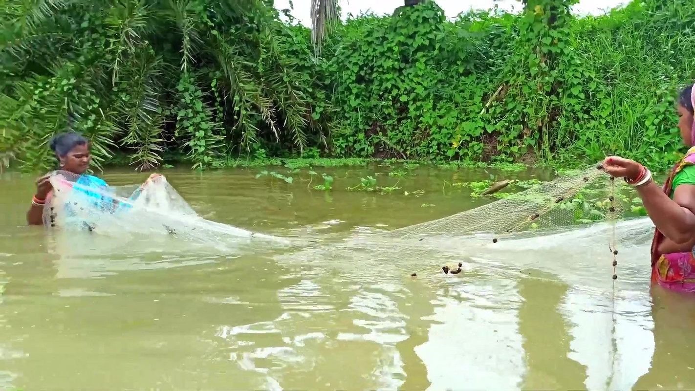 Our Village Fishing Life    (ଆମ ମାଛଧରା ) Village w
