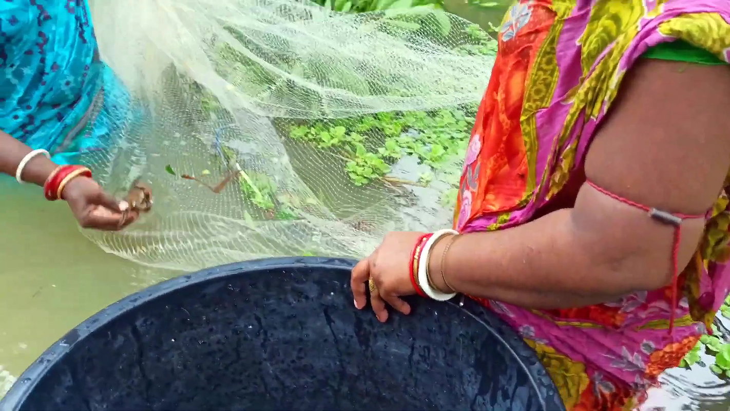 Our Village Fishing Life    (ଆମ ମାଛଧରା ) Village w