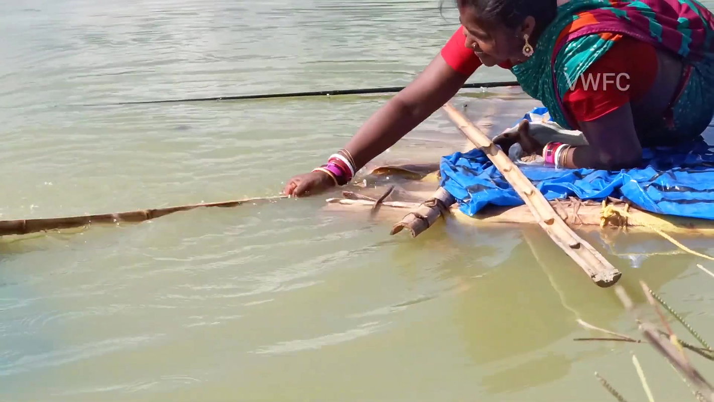 The most Amazing Hook fishing by village Women  সব