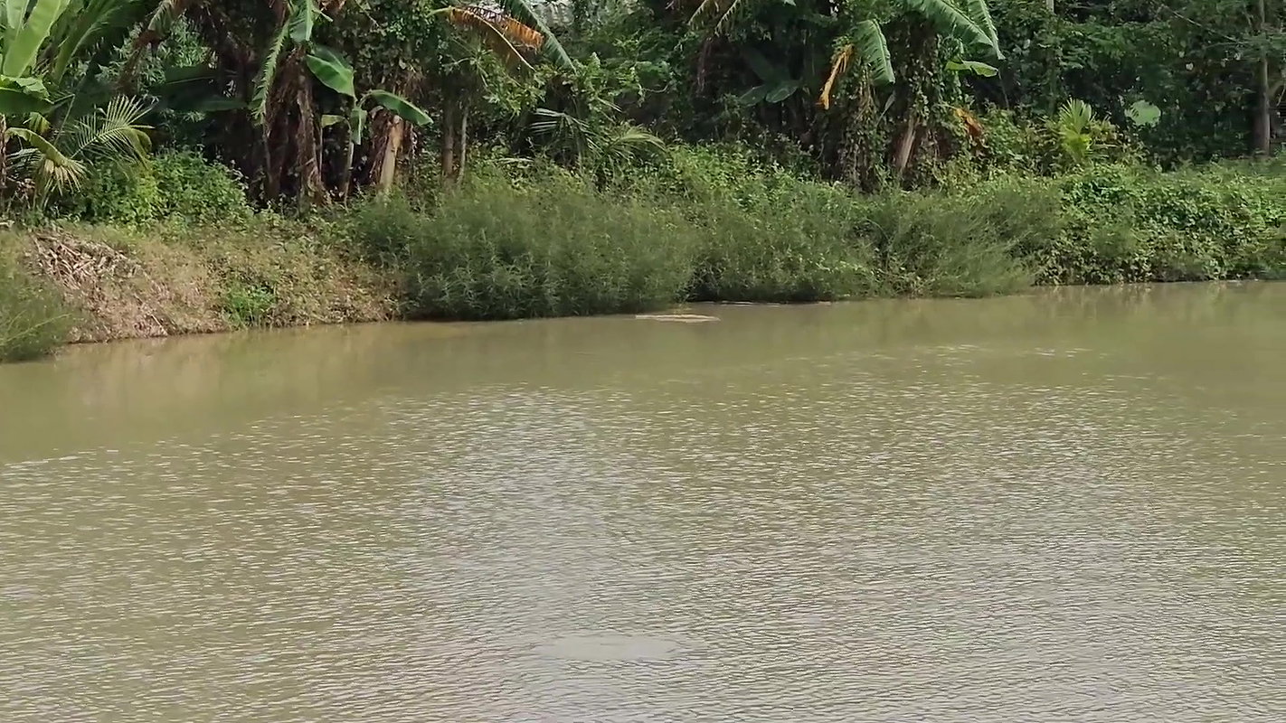 The most amazing village women net fishing video