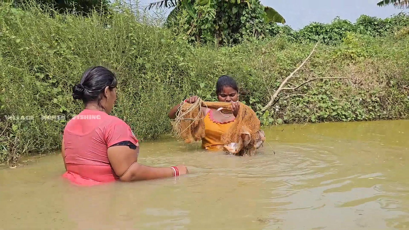 The most amazing village women net fishing video