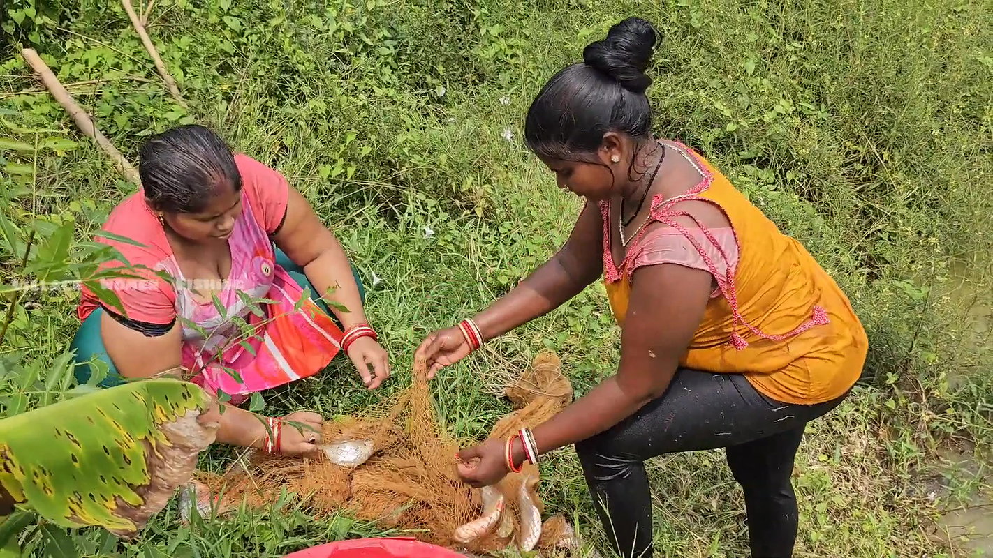 The most amazing village women net fishing video