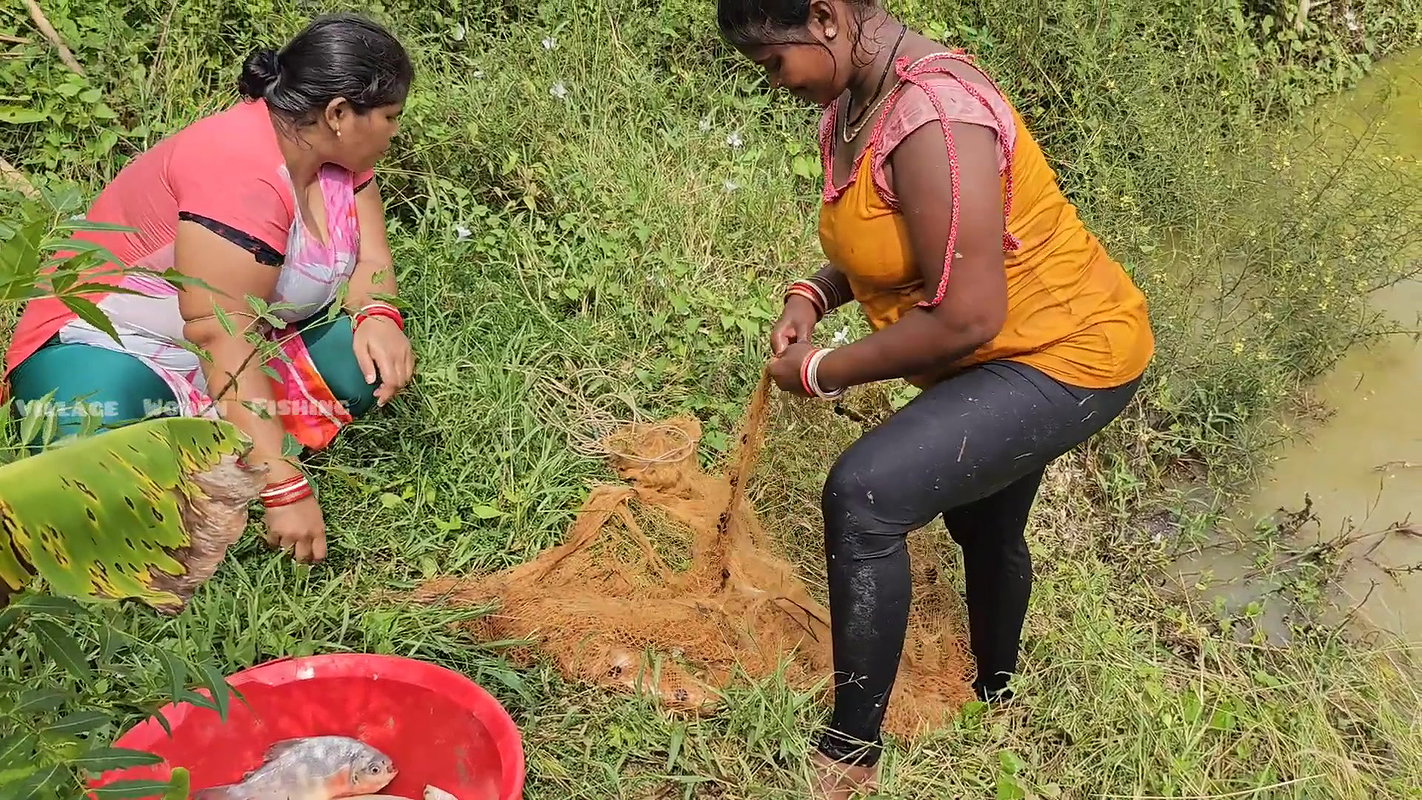 The most amazing village women net fishing video