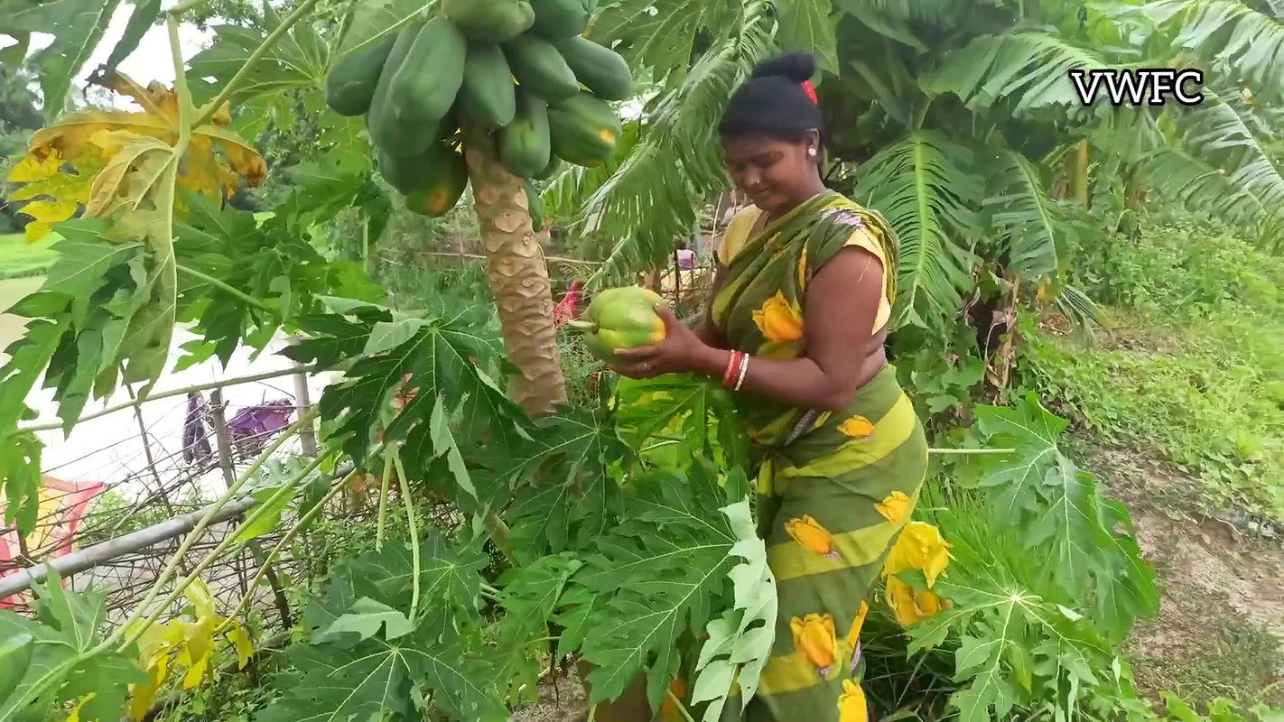 Today I had Amazing fishing and Papaya Harvesting