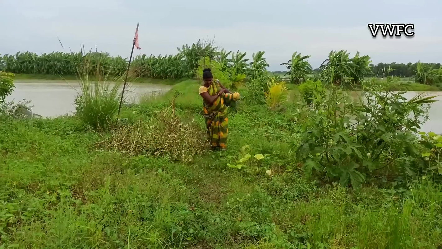 Today I had Amazing fishing and Papaya Harvesting