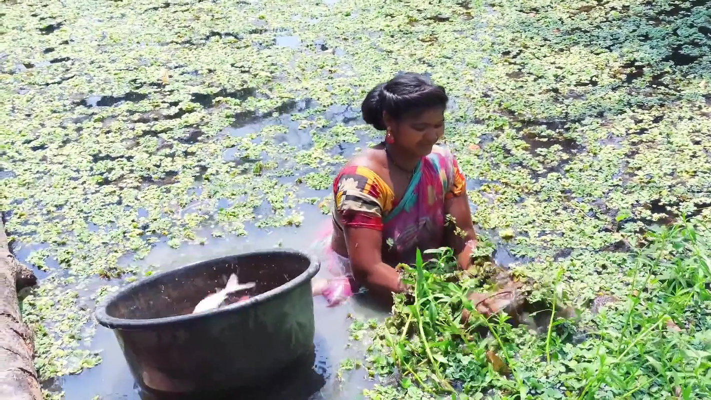 Traditional Hand Fishing by Village Women