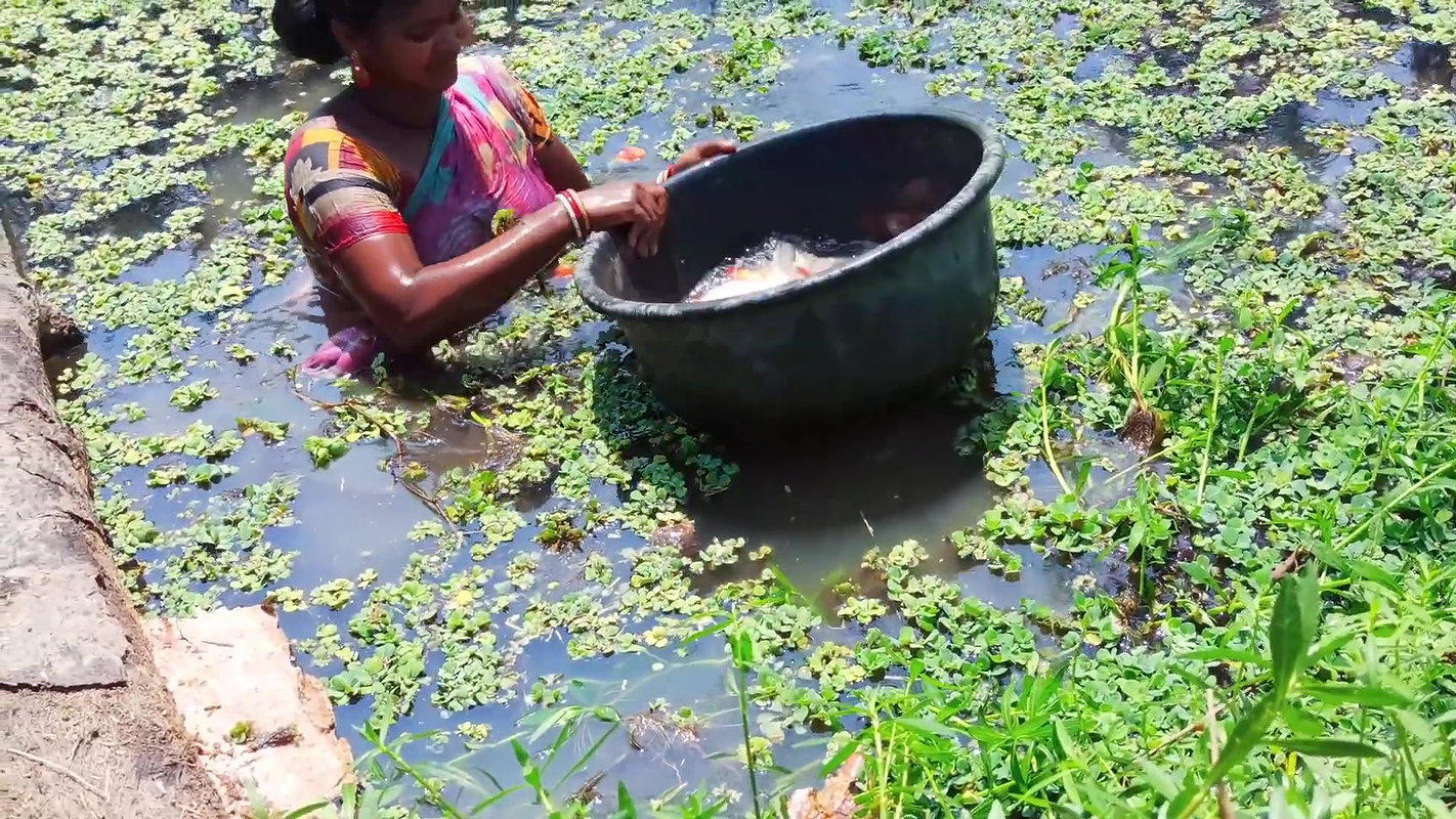 Traditional Hand Fishing by Village Women