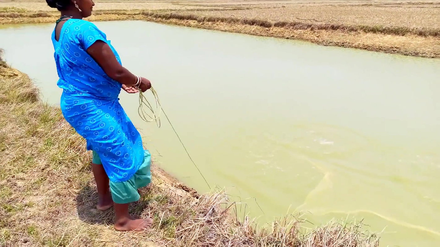 Traditional Hand Fishing    Women Net Fishing for