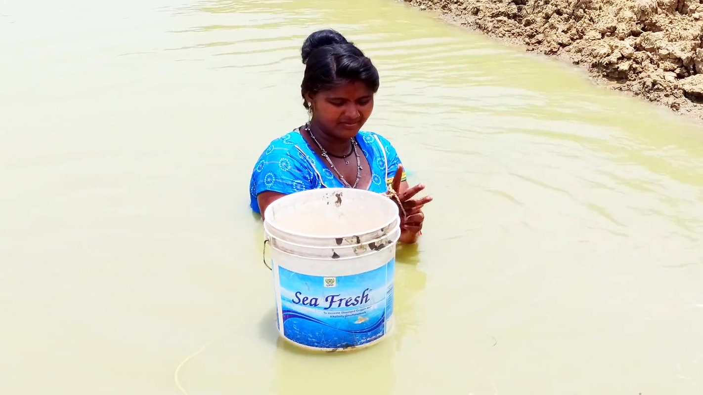 Traditional Hand Fishing    Women Net Fishing for