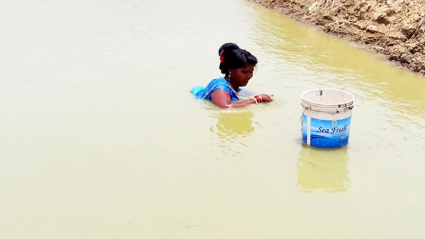Traditional Hand Fishing    Women Net Fishing for