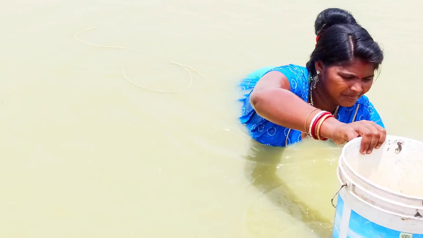 Traditional Hand Fishing    Women Net Fishing for