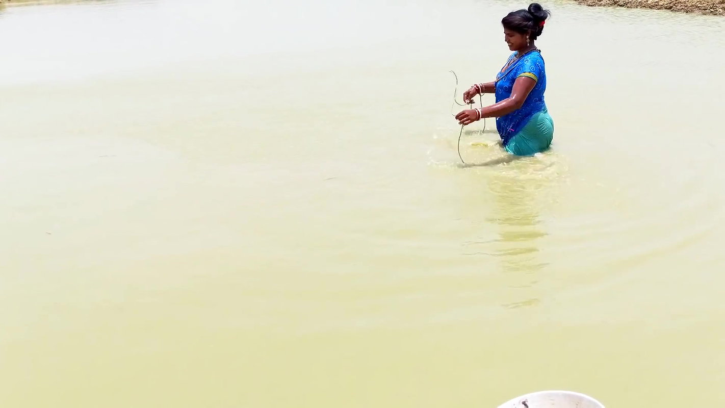 Traditional Hand Fishing    Women Net Fishing for