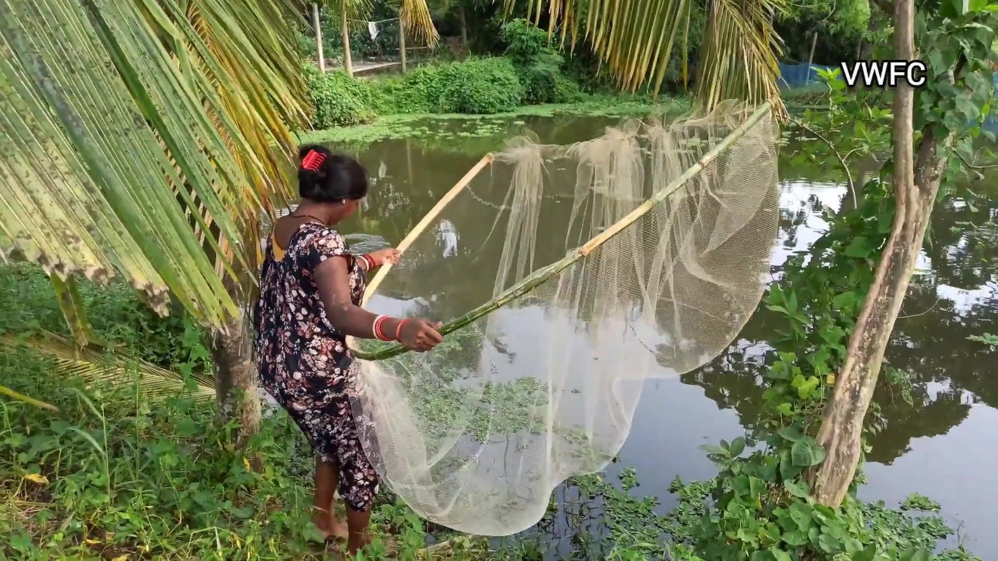 Traditional Net fishing by Village Lady   আজ আমি প