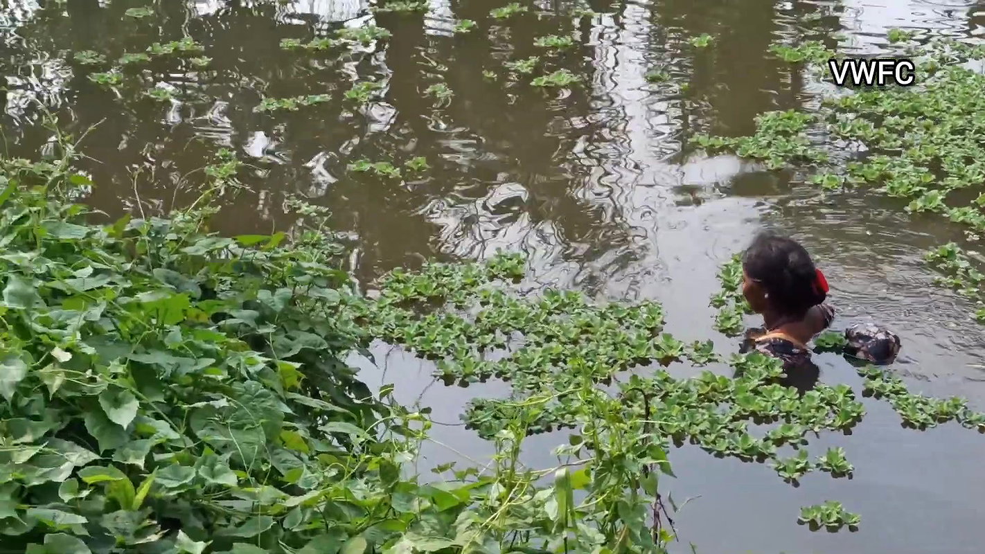 Traditional Net fishing by Village Lady   আজ আমি প