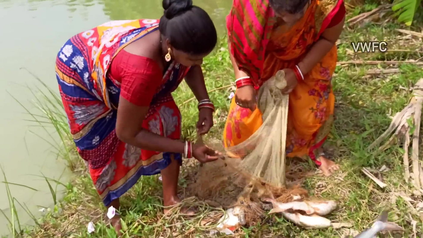 Traditional net fishing by village women   Village