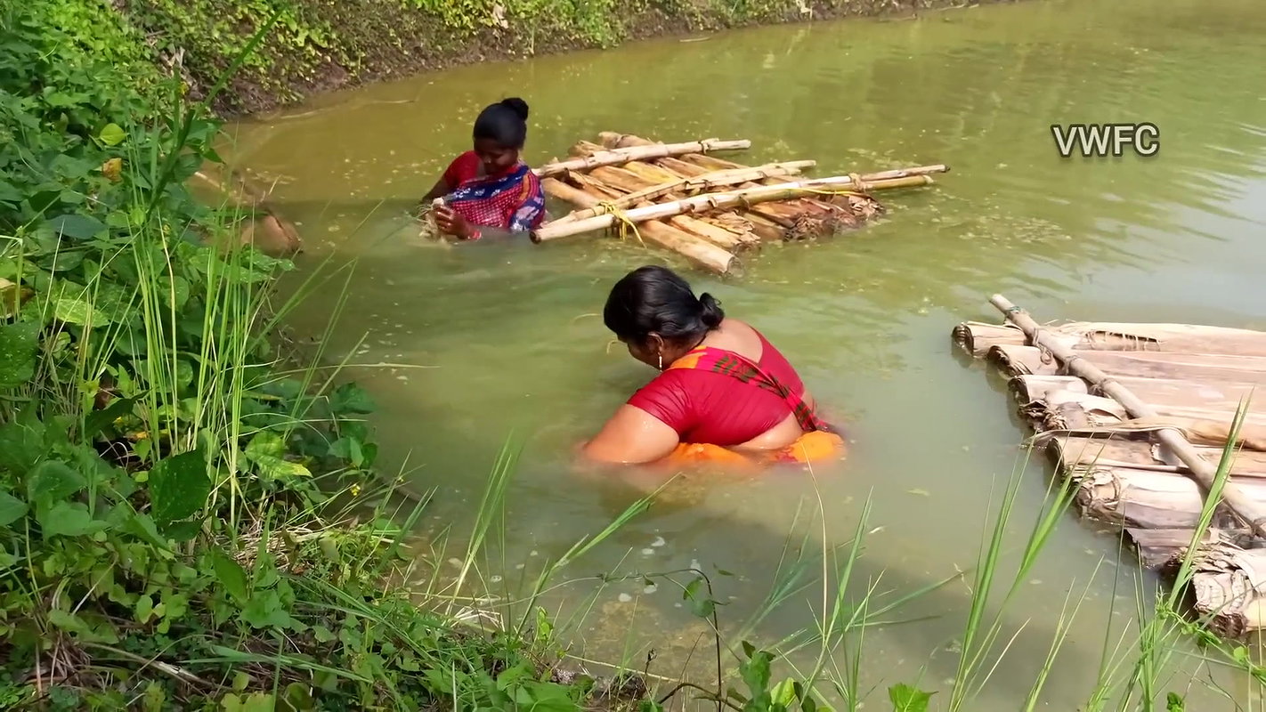 Traditional net fishing by village women   Village